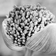 Image for article titled Shooting Challenge: BlackWhite12
